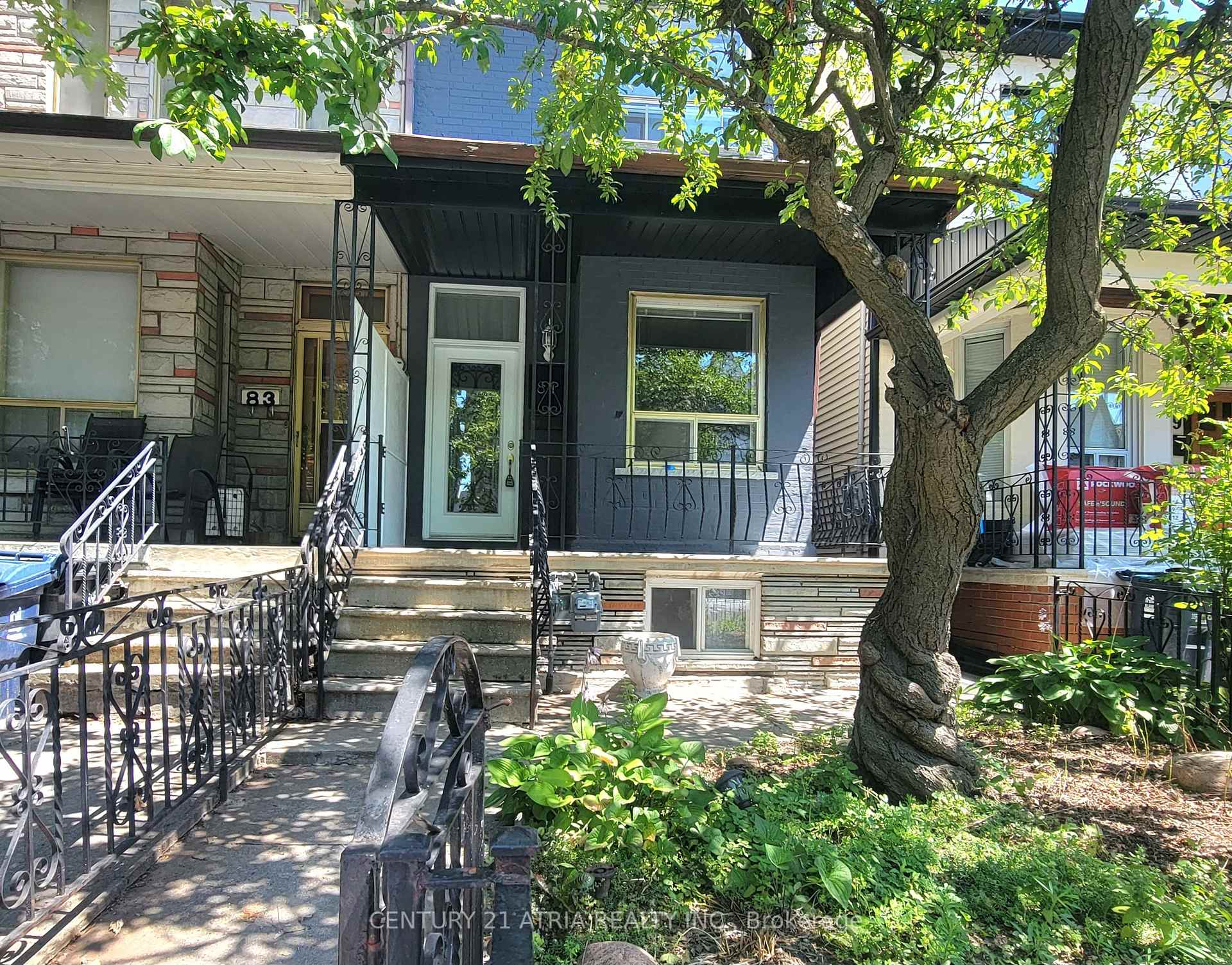 81 Montrose