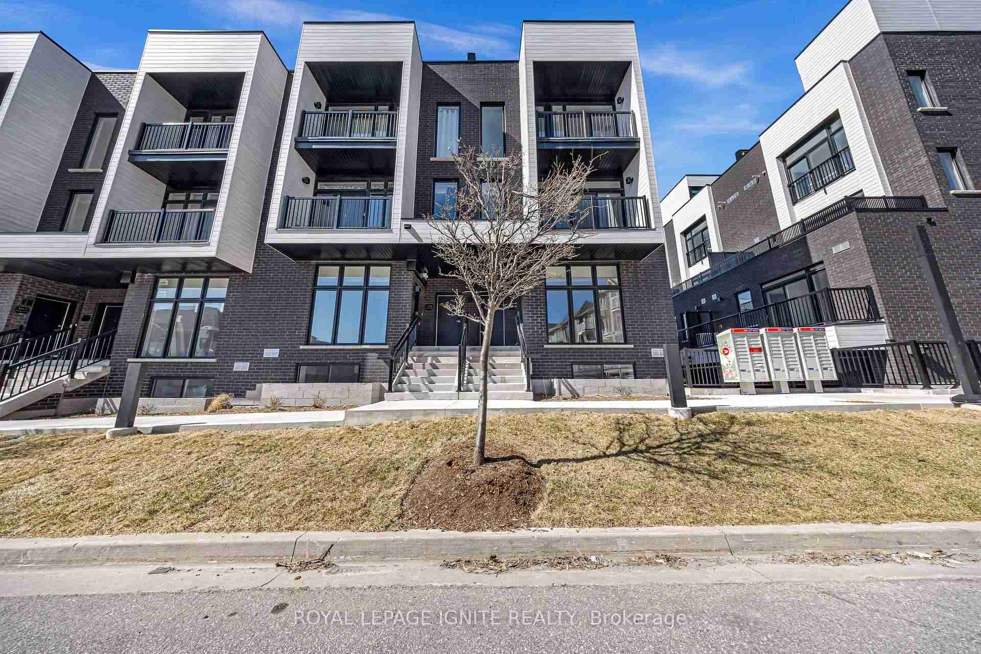 184 Angus Ajax - Property Image