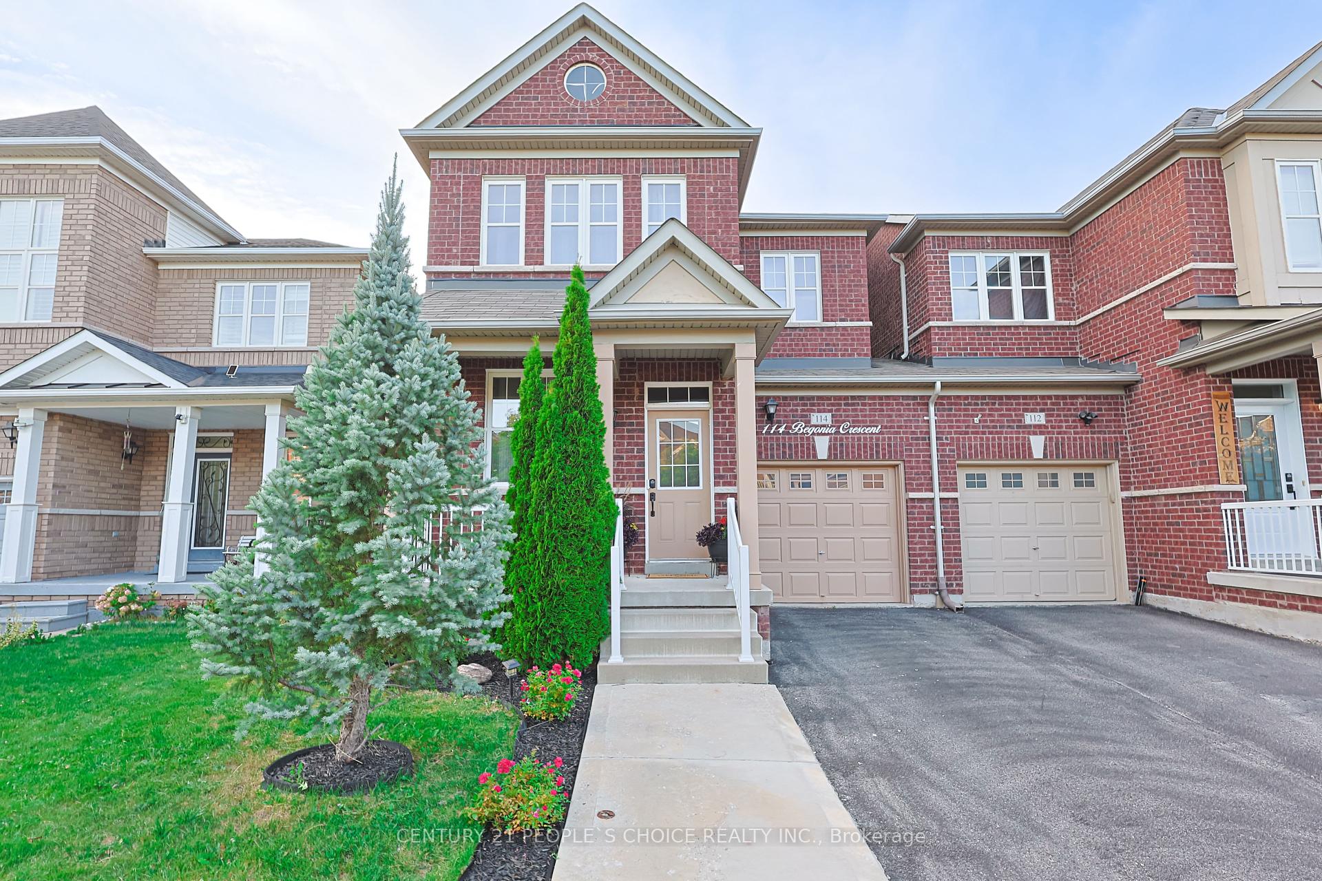 114 Begonia