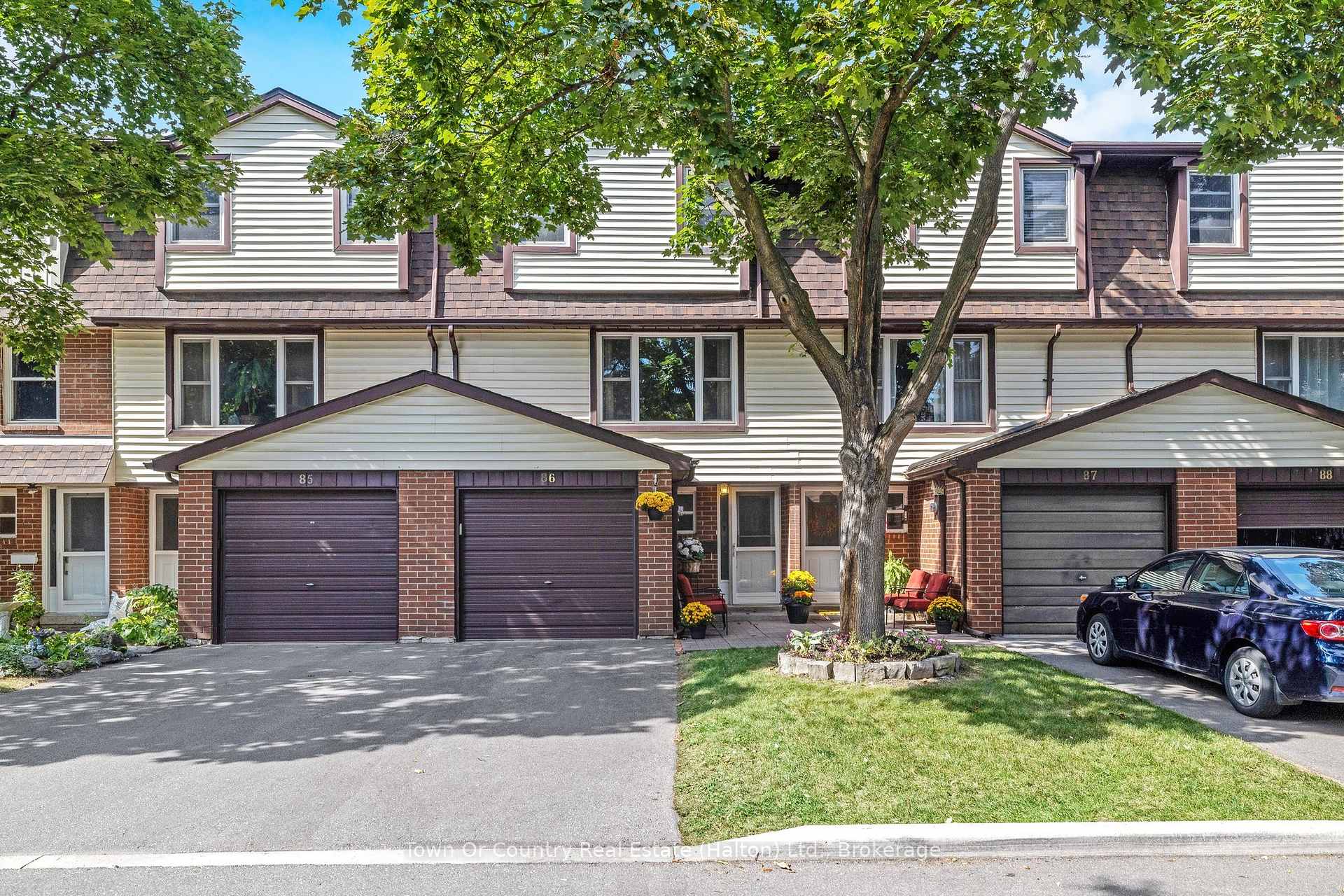 371 Bronte