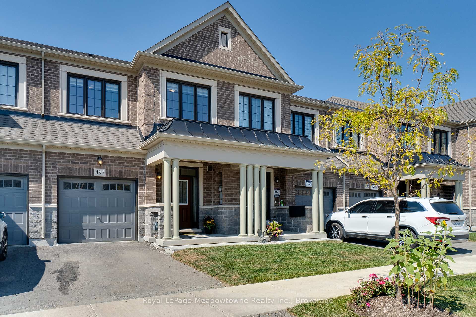 497 Celandine