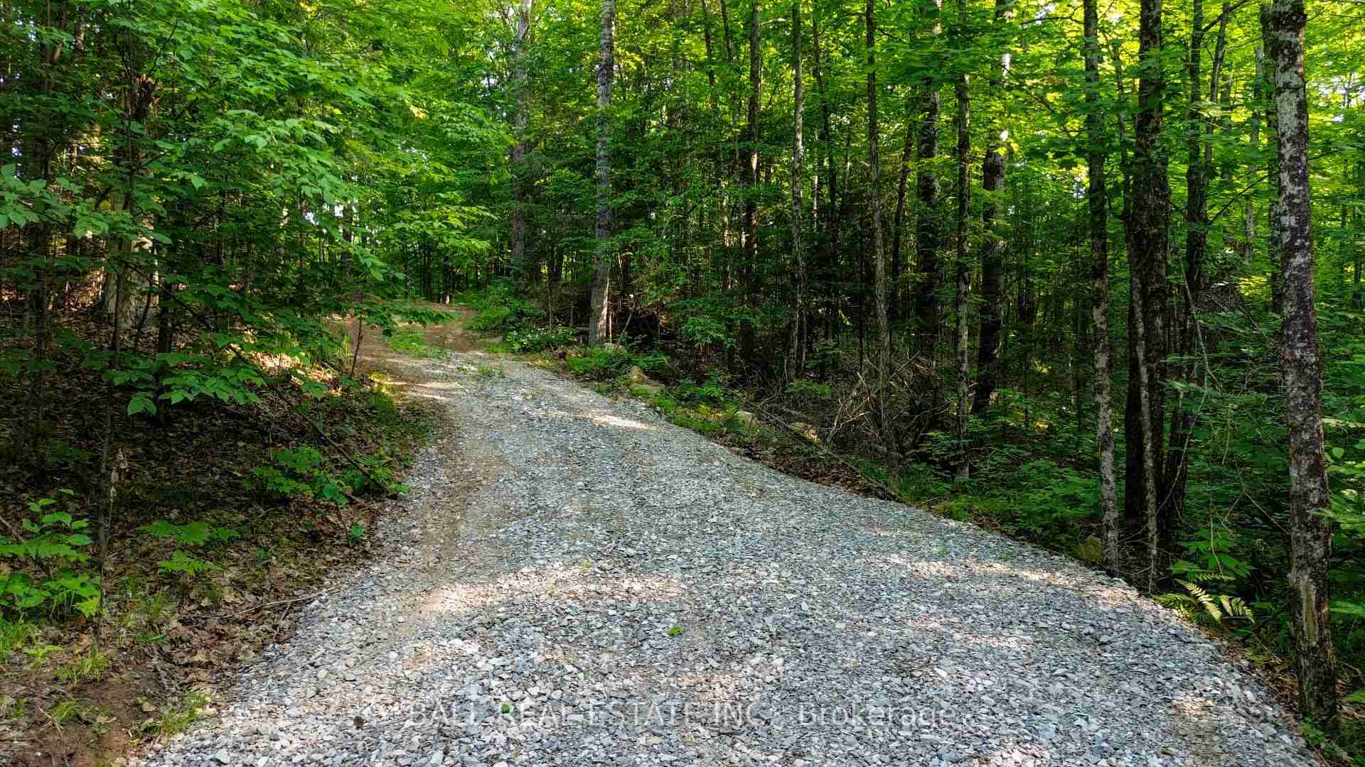 00 Rose Island Wollaston - Property Image